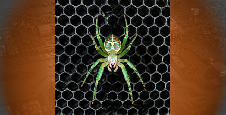 (Dr.Web) Технологии превентивной защиты