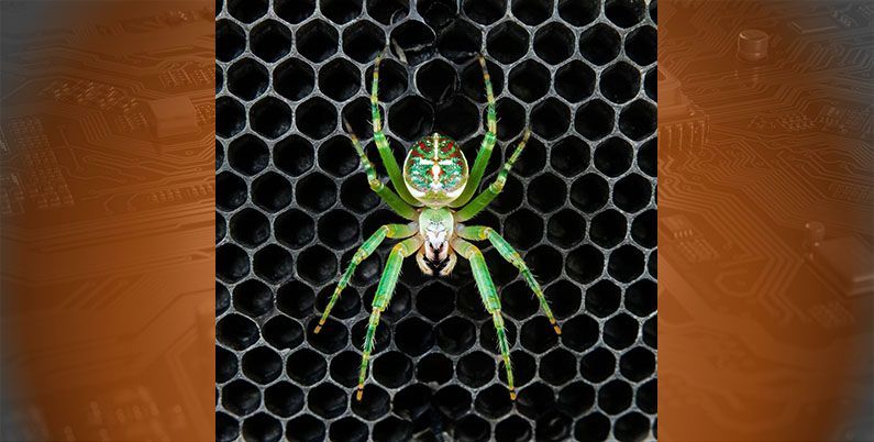 (Dr.Web) Технологии превентивной защиты